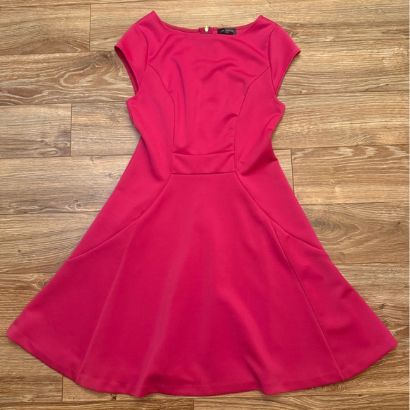 The Limited Peplum Skater Midi Hot Pink Dress Petite XS EUC - Picture 1 of 7